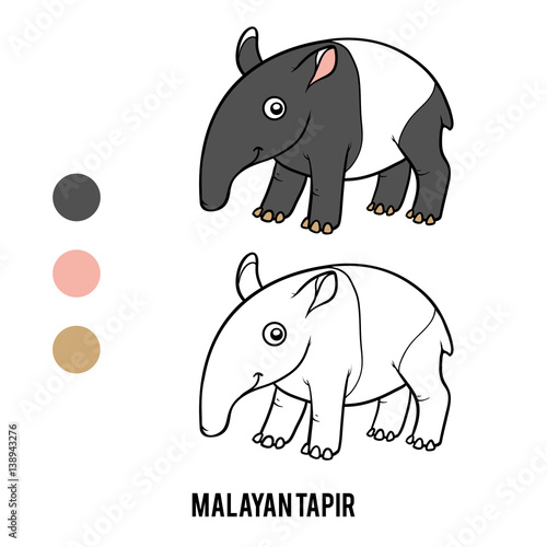 Coloring book, Malayan tapir