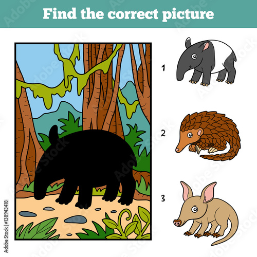 Find the correct picture. Malayan tapir and background