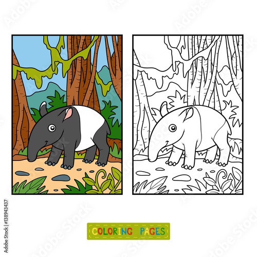 Coloring book, Malayan tapir