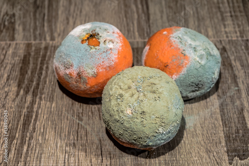 Canvas Print Rotten and fresh tangerine fruit with mold.