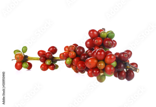 Fresh coffee beans with white background