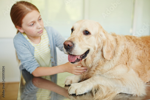 Small red-haired owner petting her cute retriever lying on table quietly with its tongue out while waiting for veterinarian