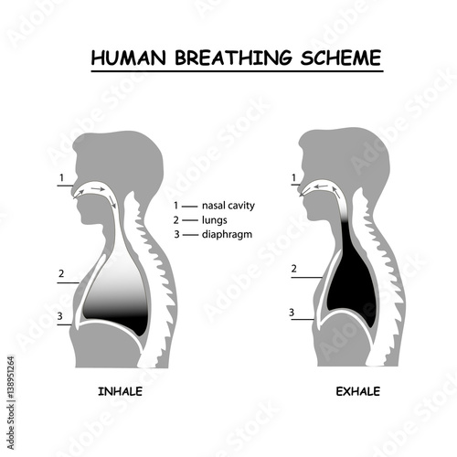 Human breathing scheme info graphic in monochrome.