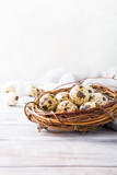 Easter composition of quail eggs in the nest on the light wooden background. Holiday concept with copy space.