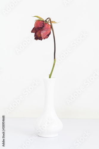 Withered roses in vases