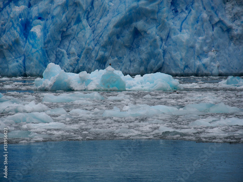 Chunks of ice and drifting on sea near glaciers
