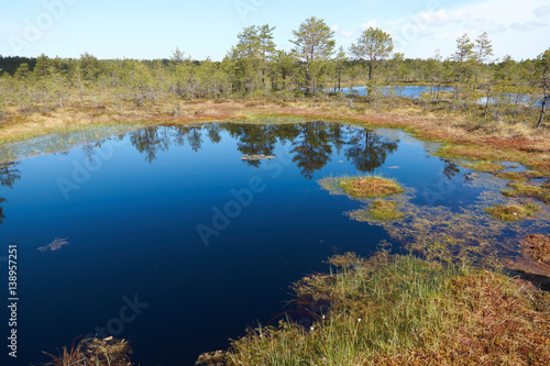 Partial view of a small lake in the middle of the Viru Raba bog in Estonia