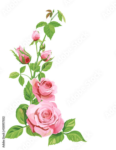 Bouquet of roses, pink, red flowers and buds, green leaves on white background, digital draw illustration, concept for design, vector © analgin12