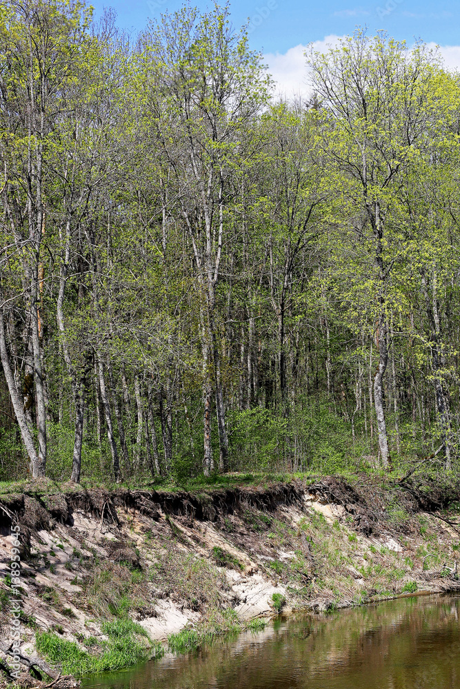 Spring on the river Bank.