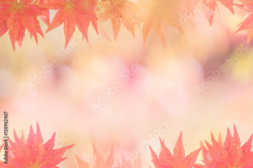 Autumn backgrounds  Soft focus 