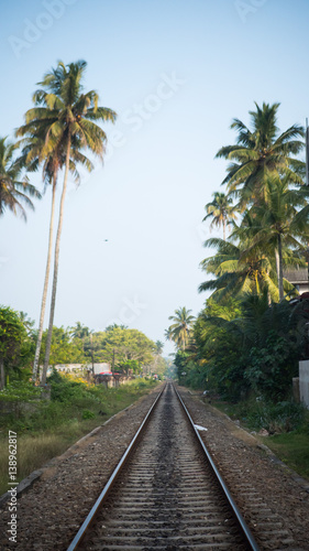 Railway tracks in jungle sri lanka © Margarita