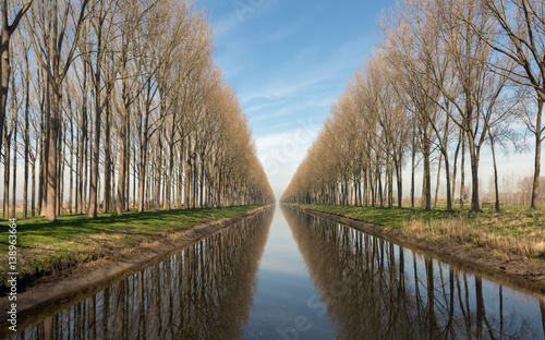 Canal in Belgium near Bruges photo