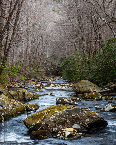 "Back Woods" The Tellico River starts its journey in the Unicoi Mountains of North Carolina but spends most of its time in the Cherokee National Forest of Tennessee. .