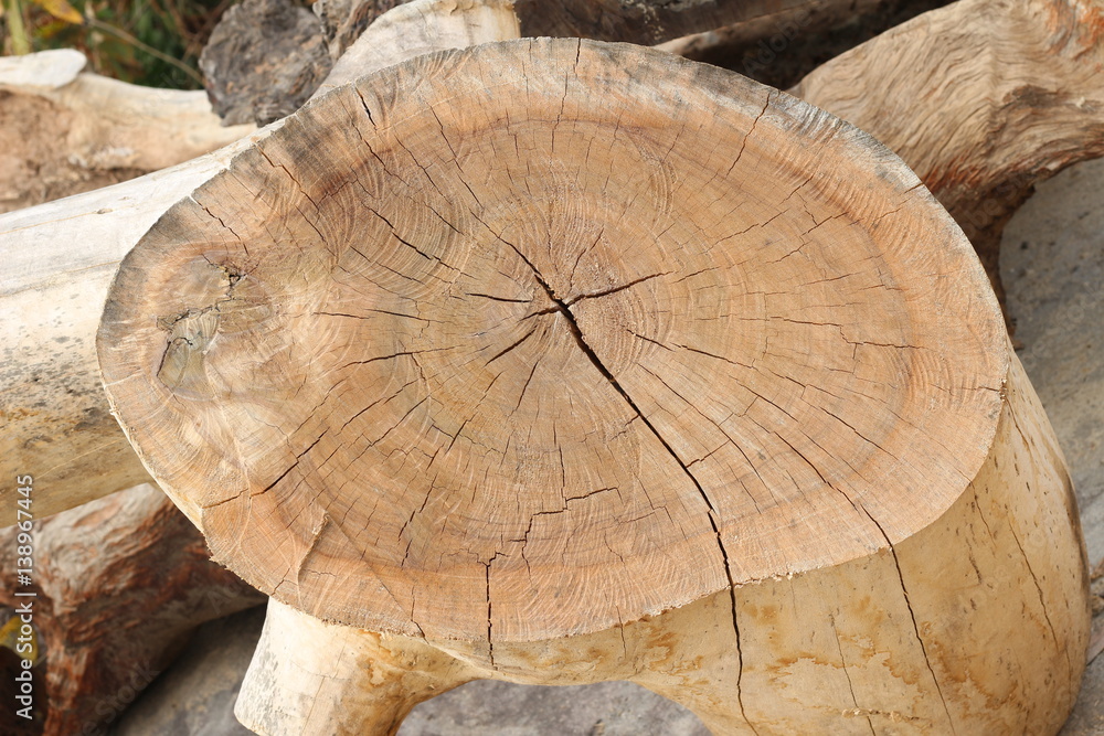 Naklejka premium old wood background