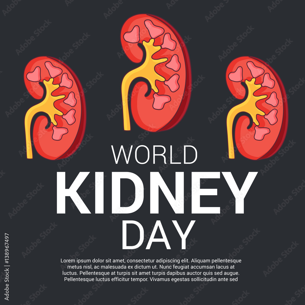 Obraz premium world kidney day