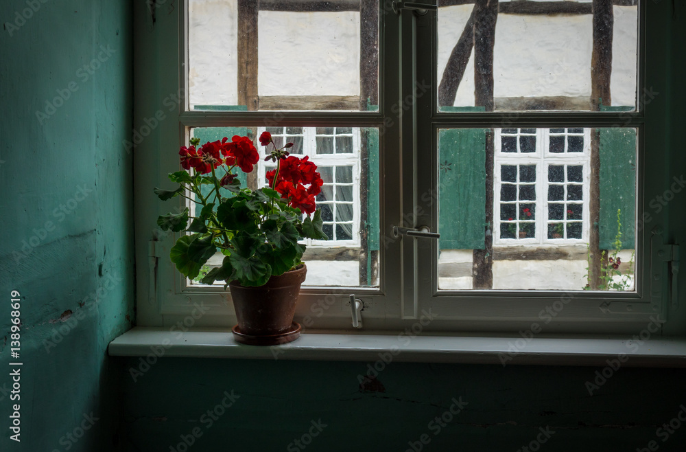 Flowers in a pot against window on windowsill