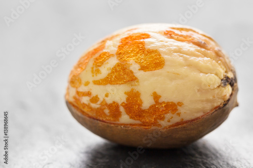 Wallpaper Mural Avocadokern, Avocado, Kern Torontodigital.ca