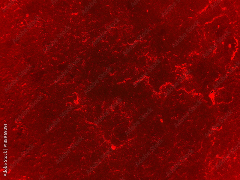 Цветной дизайн стен