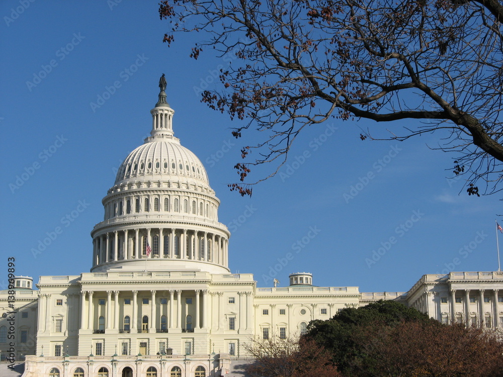 Obraz premium United States Capitol Building Washington Dc