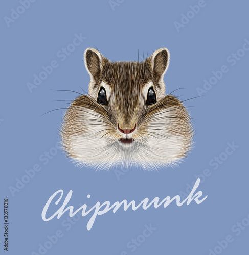 Vector Illustrated portrait of Chipmunk