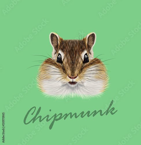 Vector Illustrated portrait of Chipmunk. © ant_art19