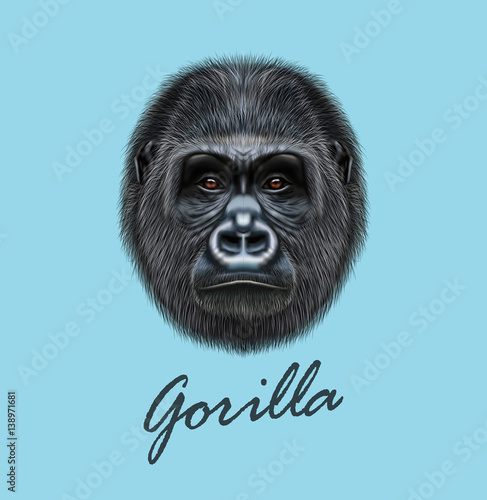 Vector Illustrated portrait of Gorilla male