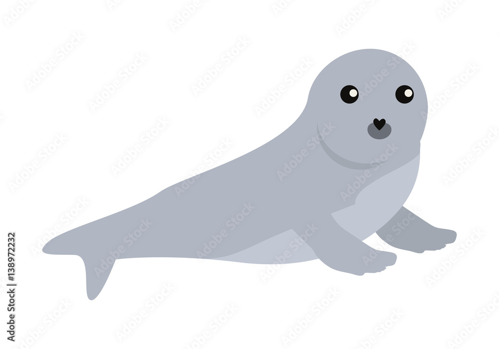 Fototapeta premium Earless seal Vector Illustration in Flat Design