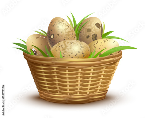 Quail eggs full wicker basket