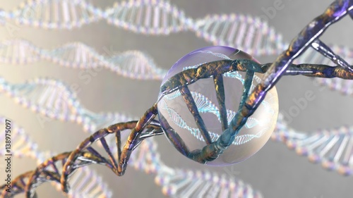 RNA, DNA Beautiful model on a blurred background, 3d rendering photo