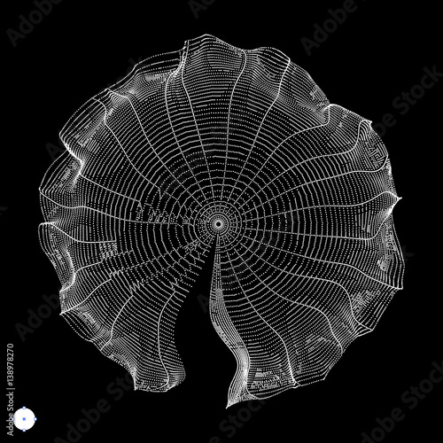 Cobweb. Network background. Connection Structure.