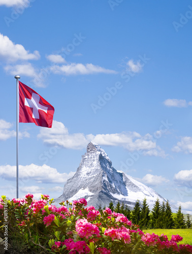 Matterhorn mit Alpenrosen