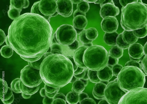 3d rendering sphere bacteria cells closeup