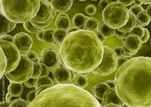 3d rendering sphere bacteria cells closeup