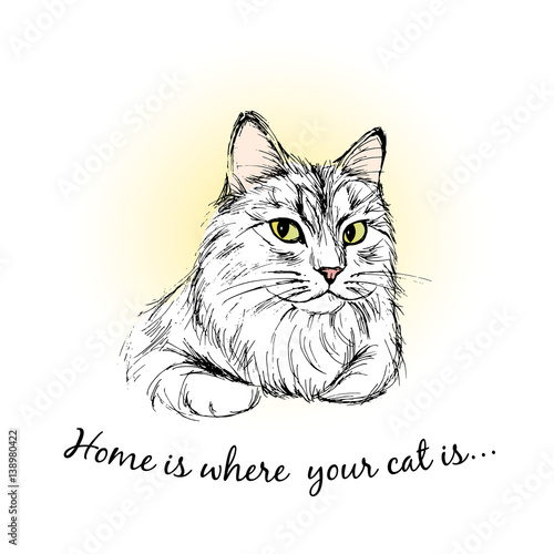 Charming cat with lettering, hand drawing