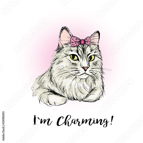 Charming cat with lettering, hand drawing