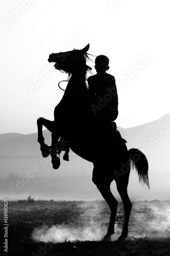 Wallpaper Mural curvet horse ad boy silhouette Torontodigital.ca