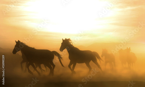 Running horse and evening view