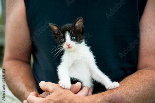 Kitten in a man's arms