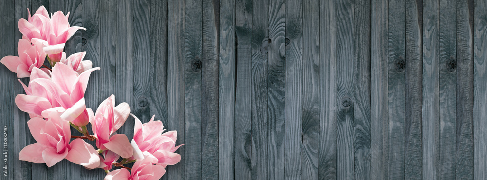 Fototapeta premium Background with magnolia flowers on wall of wooden planks