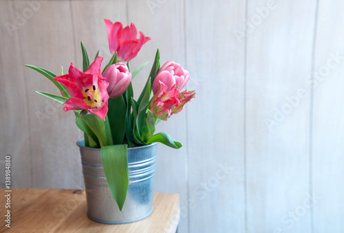 pink tulipans in pot