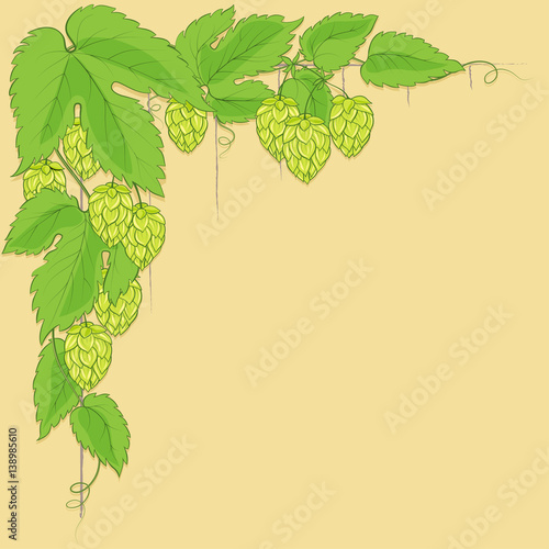 Decorative illustration with hop plant, text frame, label. 