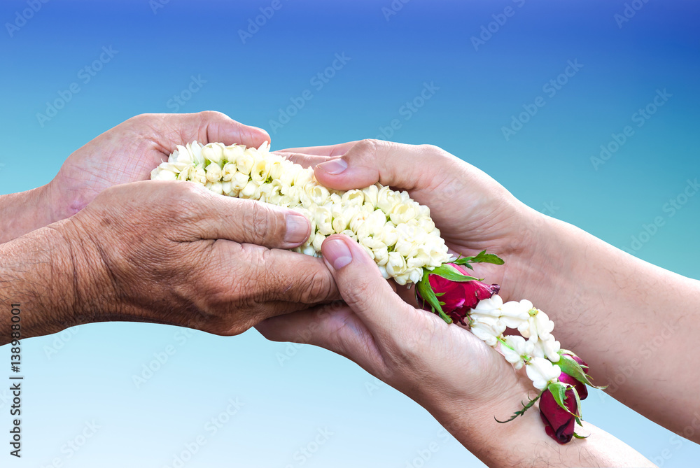 Young hands give jasmine garland to the older over light blue gradient background. Thai tradition for any special family occasions for paying high respective with love and care. Young hands give jasmine garland to the older over light blue gradient background. Thai tradition for any special family occasions for paying high respective with love and care.