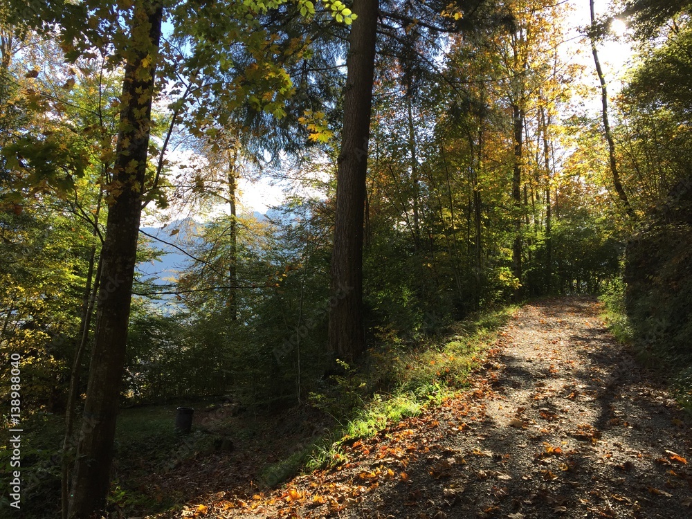 Obraz premium Wanderweg in der Schweiz, Herbstlandschaft