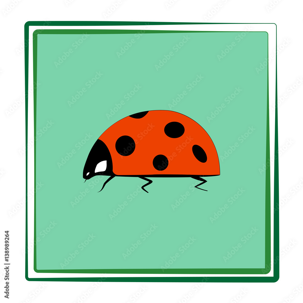 Naklejka premium Ladybird isolated
