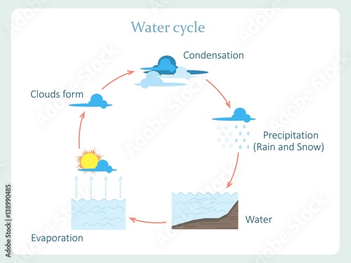 Water cycle scheme for kids education stock vector illustration