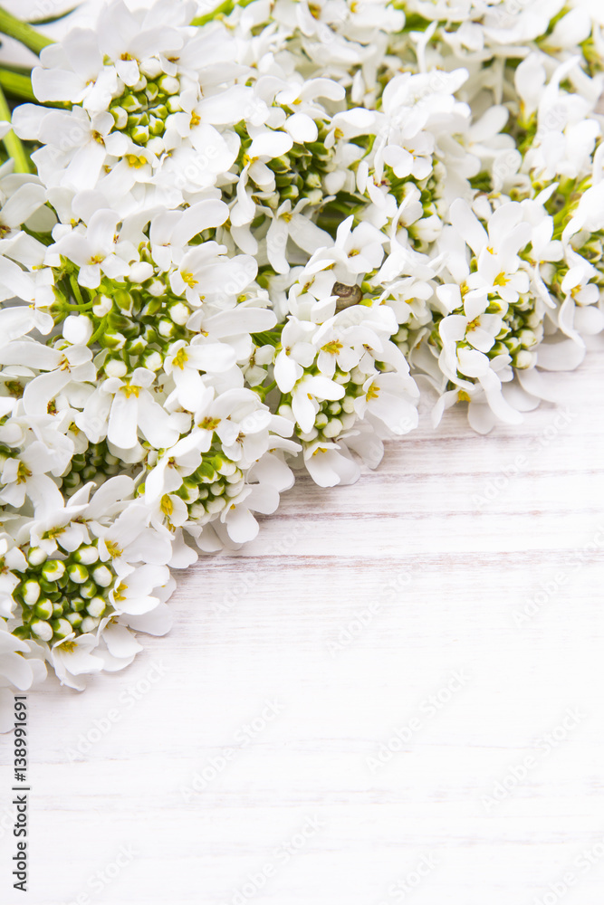 white flowers frame on white wooden background white flowers frame on white wooden background