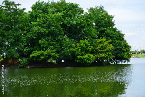 Wonderful view of Ardagani lake, Batumi photo