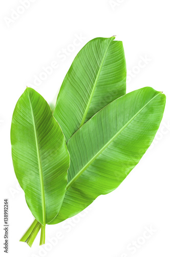 Banana leaves isolated over white