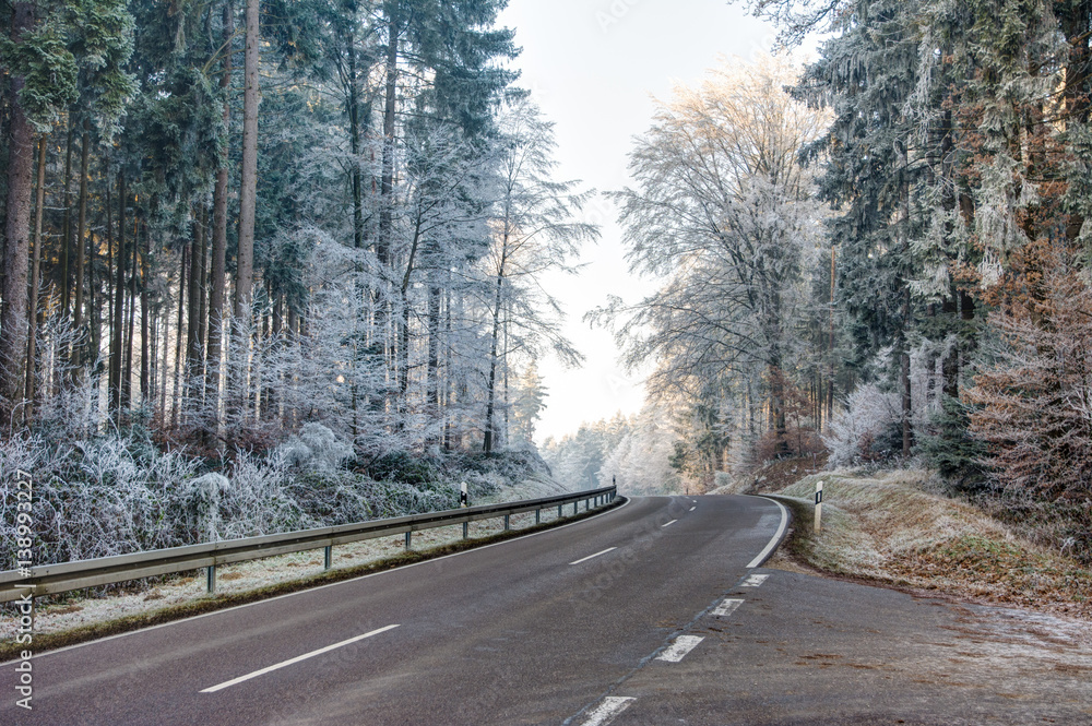 Fototapeta premium Road through a forest with frosted trees