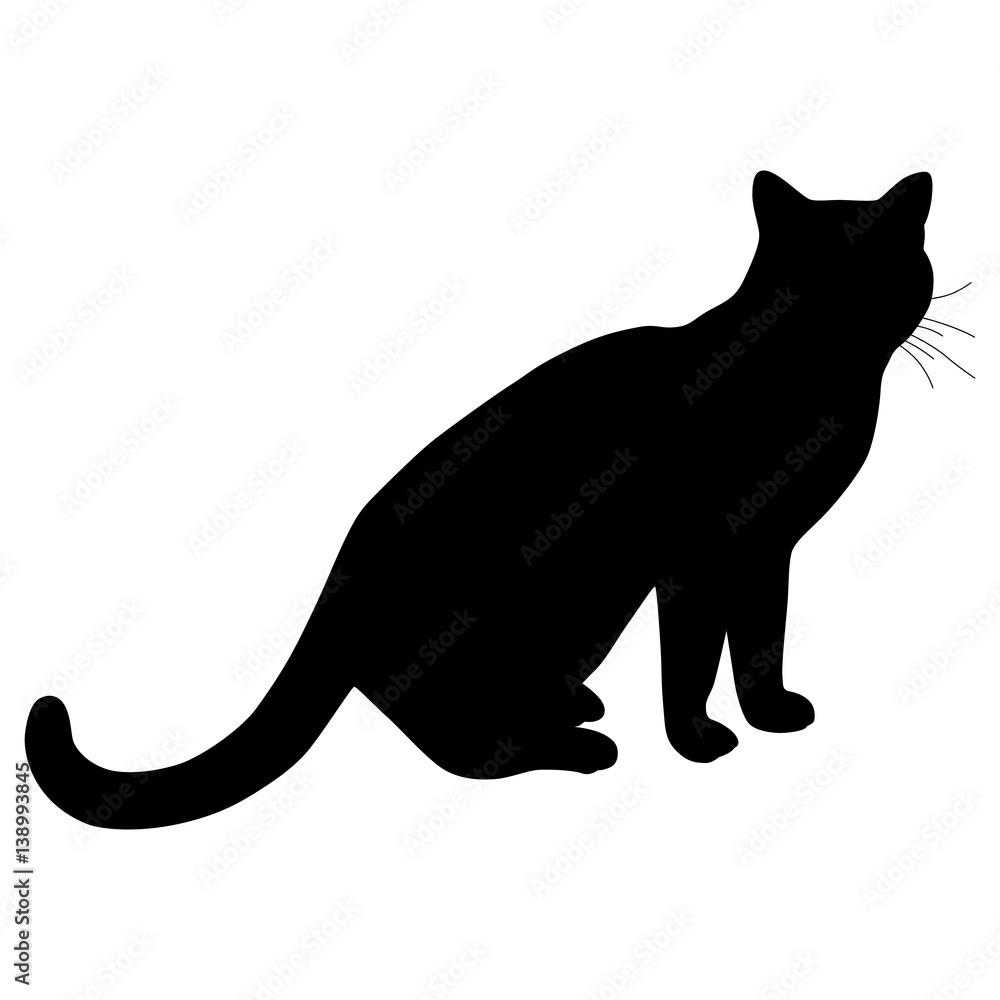 Black silhouette of cat. Vector illustration.